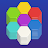 Hexa Sort Color : Brain Puzzle icon