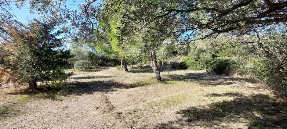 Vente terrain  700 m² à Treilles (11510), 84 000 €