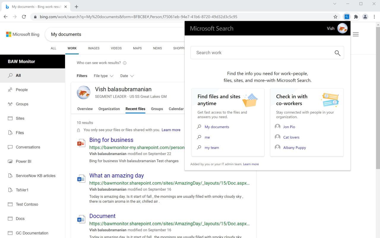 Microsoft Search Preview image 2