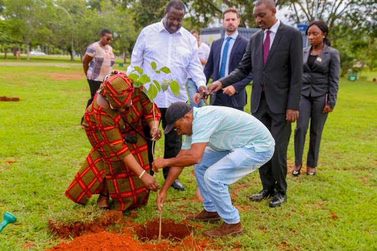 Prime Cabinet Secretary Musalia Mudavadi signed off his visit to Brazil by planting trees on January 3, 2023/ Handout