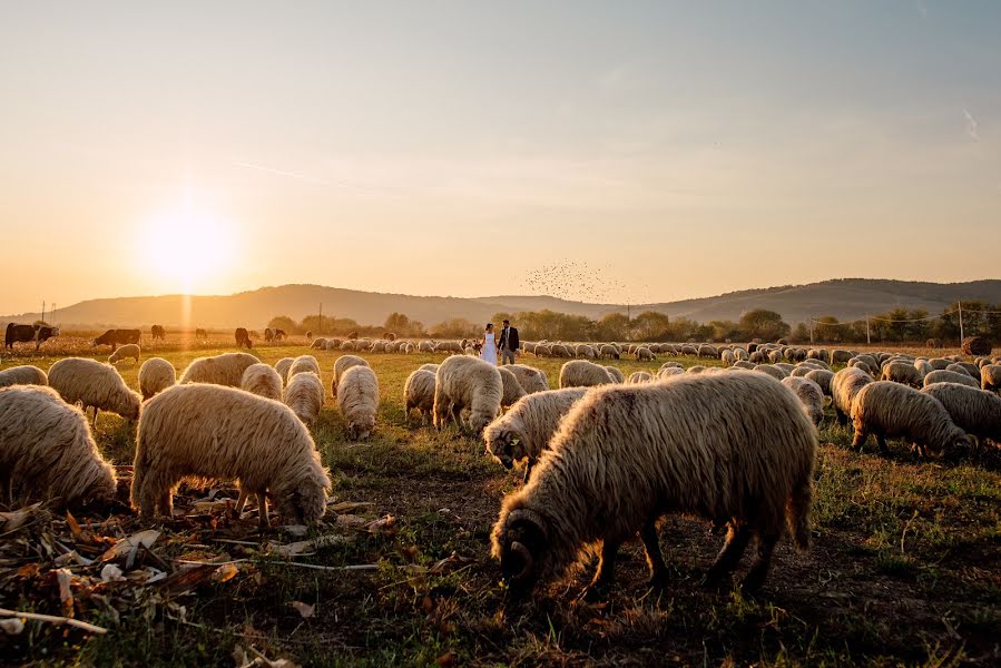 Fotograful de nuntă Alex Philip (philipalex88). Fotografia din 17 noiembrie 2020