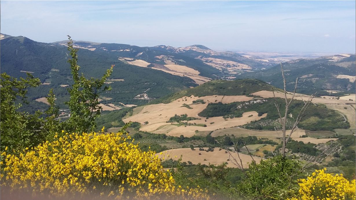 verso l'infinito e oltre di dodina77