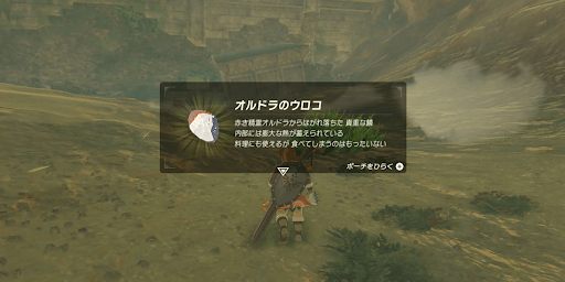 ゼルダBotW_オルドラのうろこを入手する