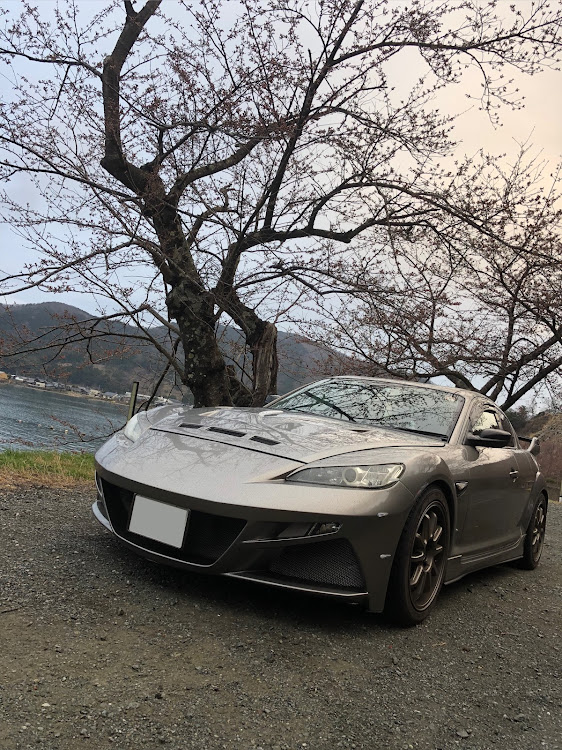 RX-8の桜とコラボ🌸・海津大崎・RX-8に関するカスタム事例の投稿画像1枚目