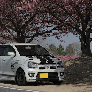 アルトワークス HA36S