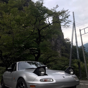 ロードスター NA8C