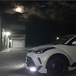 C-HR NGX50