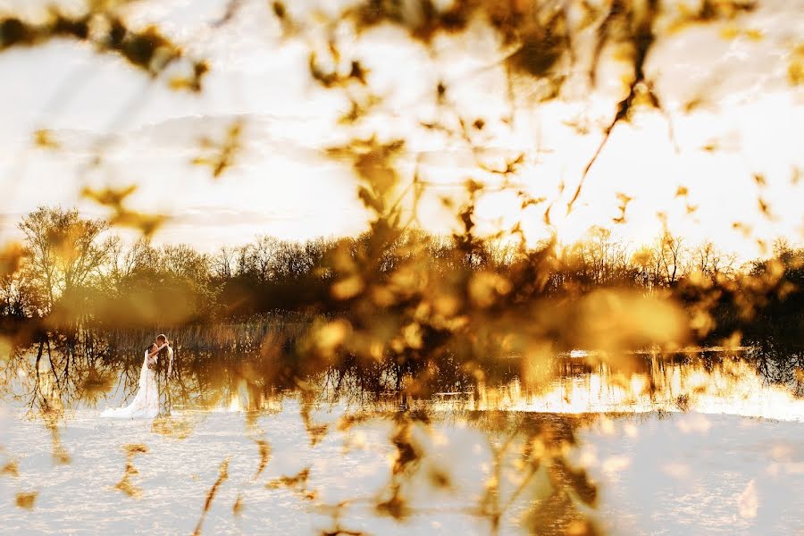 Pulmafotograaf Evgeniya Rossinskaya (evgeniyaross). Foto tehtud 1 juuni 2017