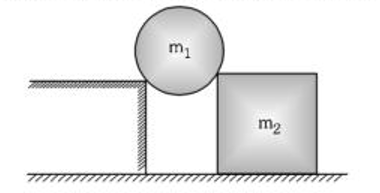 Free-Body Diagrams