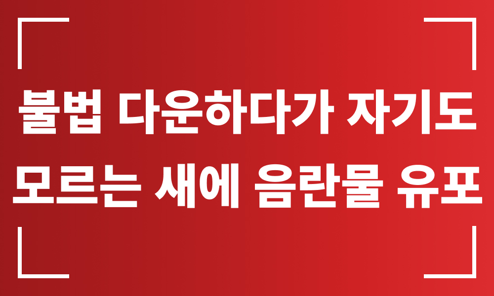 음란물유포 사이버성범죄 성범죄변호사 음란물유포변호사 음란물유포처벌