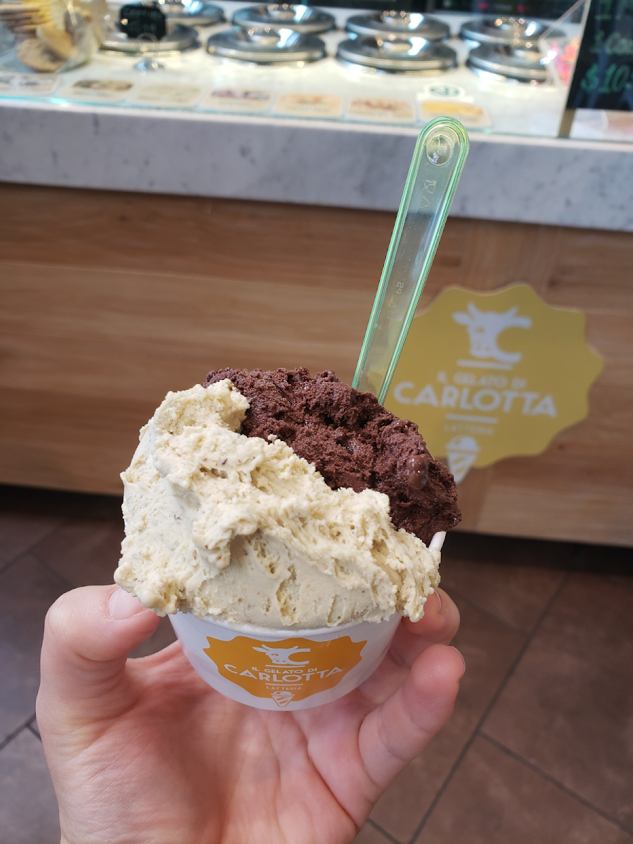 Medium Gelato cup- Chocolate & Pistachio