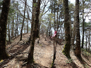 ここで左の青崩峠方面へ