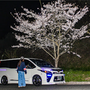 ヴォクシー ZRR80W