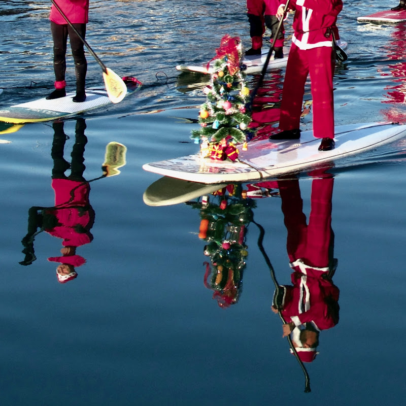 Quest'anno il Natale vien dal mare di Ltz/rivadestra