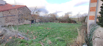 terrain à Saint-Beauzire (43)