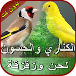 Cover Image of Download صوت الكناري والحسون بدون نت 3 APK