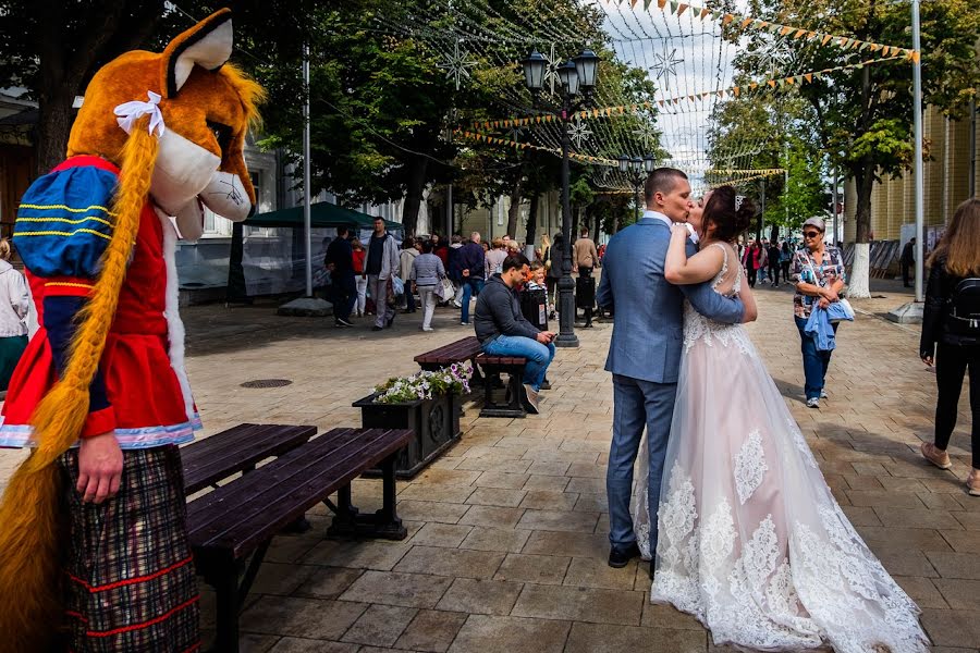 Photographe de mariage Ekaterina Tolstyakova (katrin694). Photo du 26 août 2019