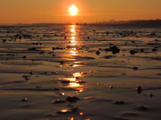 Bassa marea al tramonto di renzo brazzolotto