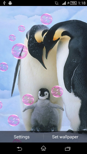 Penguins Live Wallpaper