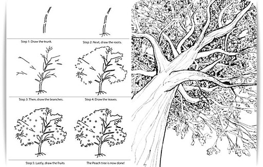 Learn to Draw Trees