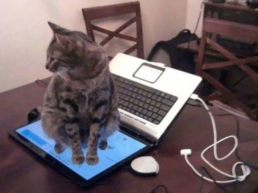 © imgur