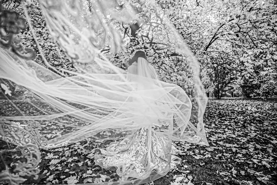 Photographe de mariage Li Pellegrini Photo (elianepellegrini). Photo du 27 janvier 2022