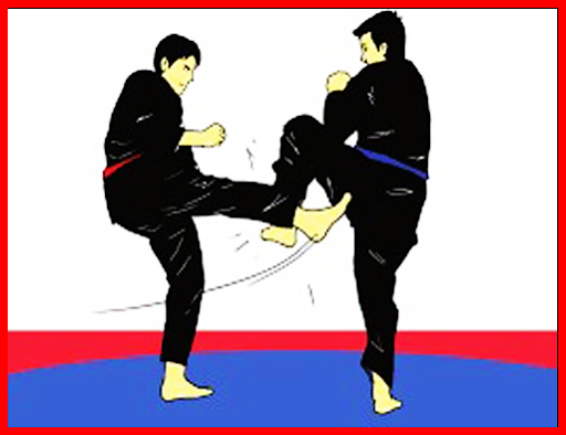 How to Learn Kung Fu👊Kung Fu Course