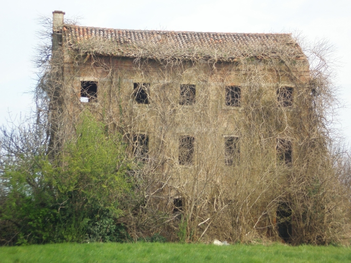 Casa immersa nel verde: VENDESI..... di ornelele