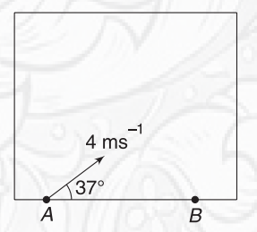 Projectile motion