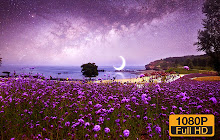 Purple Flower Wallpaper HD Custom New Tab small promo image