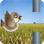 Cover Image of Download Sweet Bird 1.06 APK