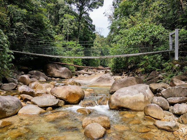 Hutan Lipur Lata Payung River Suspension Bridge