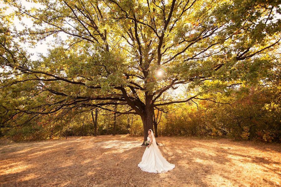 Fotografo di matrimoni Valeriya Sytnik (sytnick). Foto del 26 novembre 2015