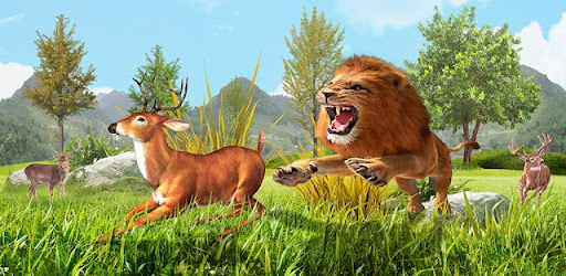 Lion Simulator Wild Animal 3D