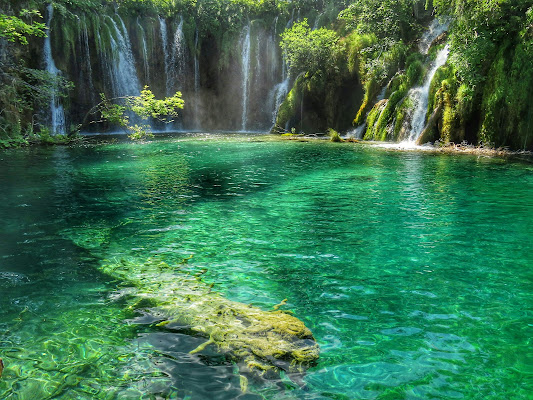 I colori dell'acqua  di Giorgio Lucca