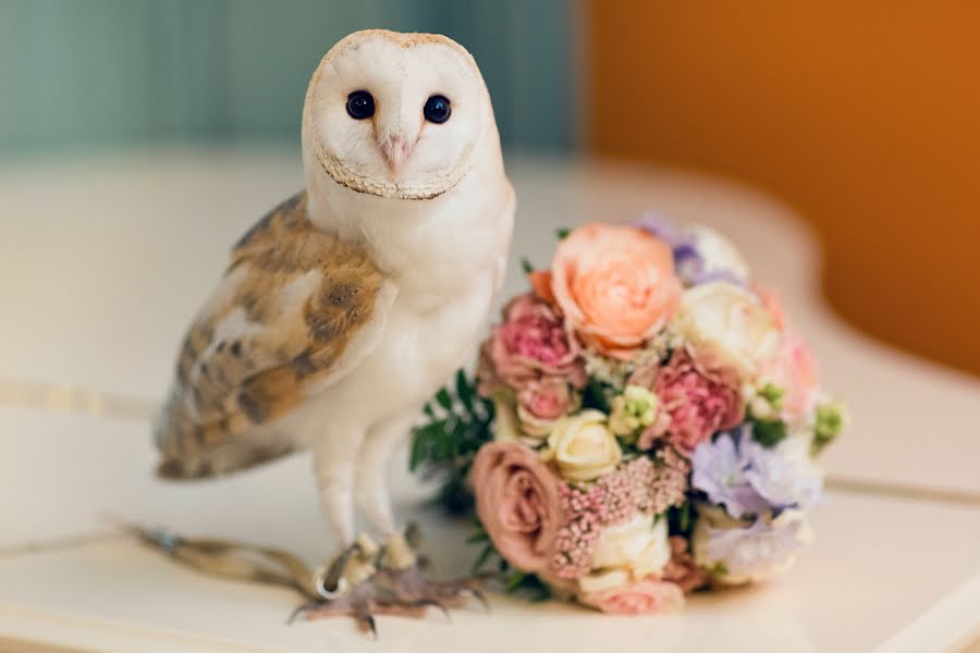 Photographe de mariage Aleksandra Savenkova (fotocapriz). Photo du 9 novembre 2016