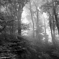 La nebbia nasconde e ci meraviglia di 