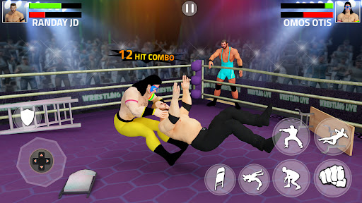 Screenshot Tag Team Wrestling Game