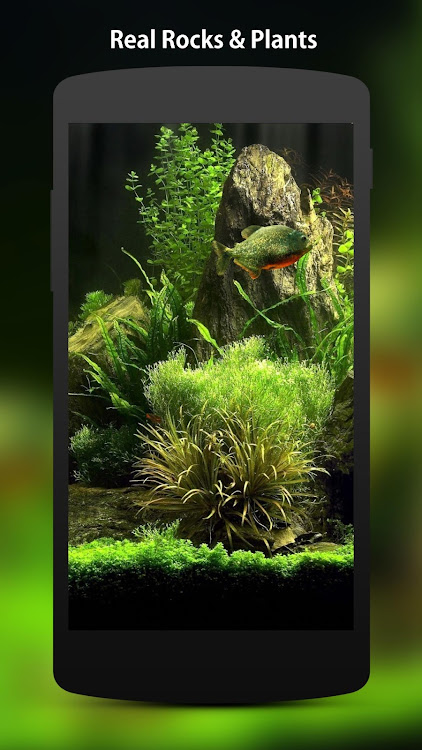 3D Fish Aquarium Wallpaper HD by DynamicArt Creator - (Android Apps) —  AppAgg