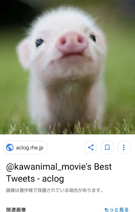 「おばあちゃん」のメインビジュアル