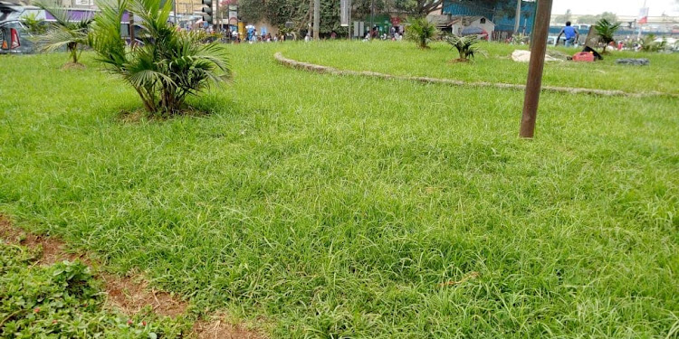 Beautification progaramme on Haile Selassie roundabout.