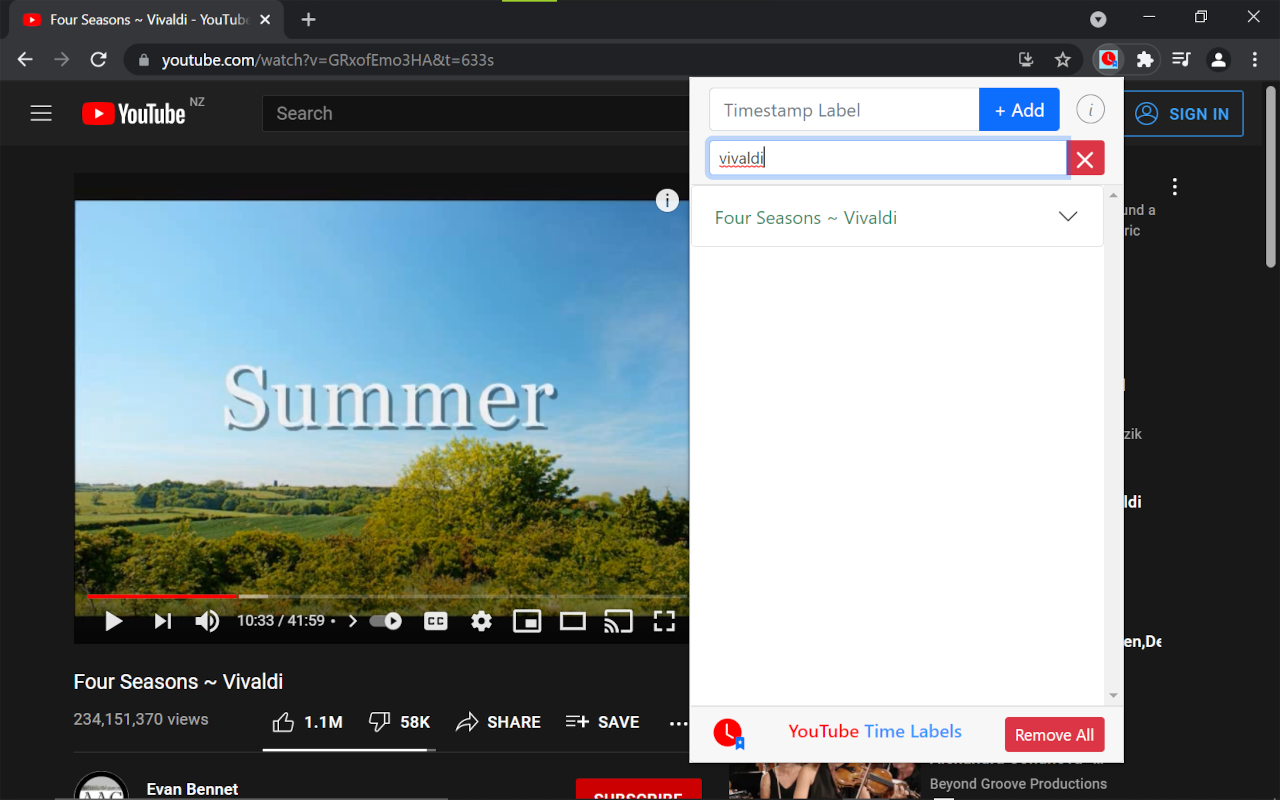 YouTube Time Labels Preview image 4