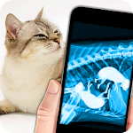 Cover Image of Download X-Ray Pregnant Cat Joke 1.3 APK