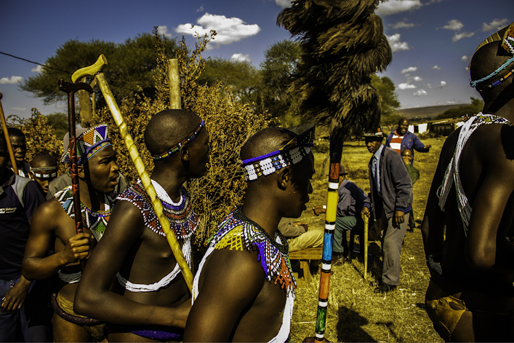 The initiates emerge from the boma, watched by the elder men. This is their 'coming out', a cause for great celebration in the community.