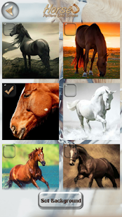 download Kunci Layar Pola Wallpaper Kuda free