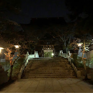 セレナ C25型