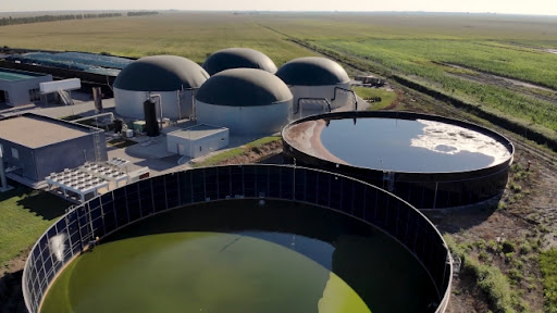 Biomasa najznačajniji izvor OIE u Srbiji u kojoj se očekuje novi ciklus ulaganja u biogasne elektrane (FOTO/VIDEO)