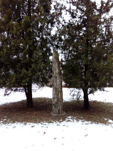 Stoned trunk in front of State