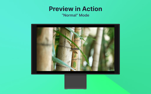 Preview Action “Normal” 