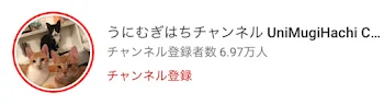 おすすめの猫のチャンネル教えます。サムネのチャンネルだいすこ